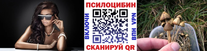 Купить закладки Петровск Псилоцибиновые грибы MAGIC MUSHROOMS