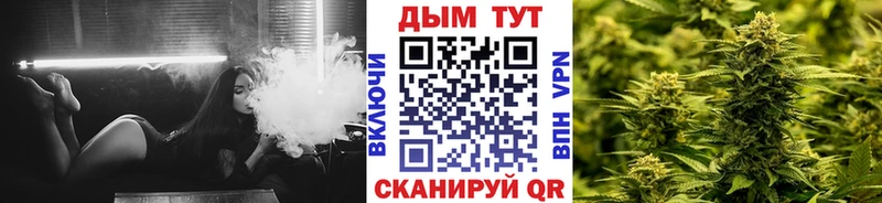 Купить  Петровск  Бошки Шишки гибрид 